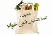 درخواست همراهی از عموم مردم در دوران پساجنگ | از کیسه‌ها و مواد پلاستیکی کمتر استفاده کنیم