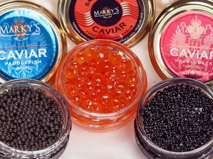 صید تجاری خاویار از دریای خزر ممنوع شد
