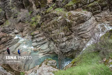 ایران زیباست | مخمل کوه در گستره زاگرس - لرستان