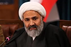 پژمانفر: ما نباید همه مهاجران افغانستانی را دشمن فرض کنیم