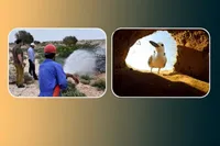 دو مستند ایرانی در جشنواره باران هند رقابت می کنند