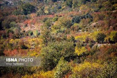 ایران زیباست | پاییزِ هزاررنگ در روستای شیت - طارم