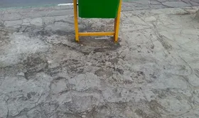شهروند خبرنگار| درخواست نظافت سطل&zwnj;های زباله در هاشمیه و پاسخ مسئولان