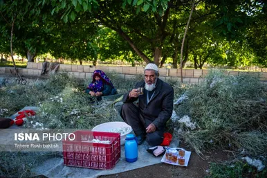 گزارش تصویری | نوغانداری، تولید ثروت از کرم ابریشم