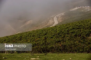 ایران‌ زیباست | ییلاق «اولسبلنگاه» ماسال