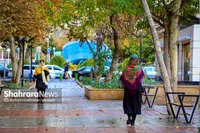 ال‌نینو مساوی بارش در ایران نیست | هشدار رئیس مرکز اقلیم درباره زمستان پیش‌رو