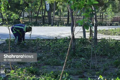 گزارش تصویری |بازدید شهردار مشهد مقدس از بوستان جهانشهر