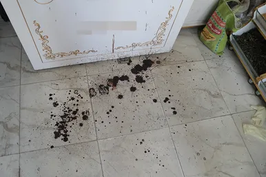بازسازی صحنه قتل در عطاری