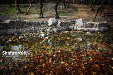 عکس‌هایی از طبیعت پاییزی بوستان وکیل آباد مشهد