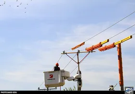 ۸ میلیون و ۴۰۰ هزار خانوار جزو مشترکان کم مصرف و مشمول برق رایگان هستند