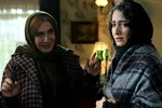 معرفی فیلم «نمور» داوود بیدل