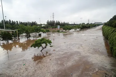 سیل در خیابان های مشهد(2)