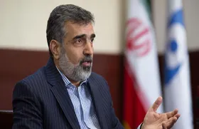 سخنگوی سازمان انرژی اتمی: دسترسی افراد به مراکز هسته&zwnj;ای صحت ندارد