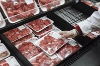 نیازی به واردات گوشت برای تنظیم بازار نداریم |  به سهولت توان تولید یک میلیون تن گوشت در کشور وجود دارد
