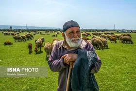 پتروشیمی میانکاله از نگاه دوربین