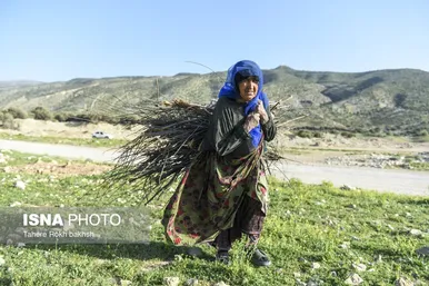ایران زیباست | کوچ بهاری عشایر استان فارس