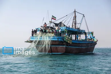 ایران زیباست | صید میگو و ماهی در خلیج فارس