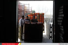 عرضه مستقیم میوه تنظیم بازار  شب عید در ۱۲ نقطه شهر مشهد + آدرس مکان&zwnj;ها