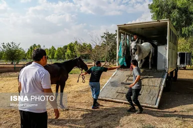 عکس‌هایی از مسابقات هفته ششم لیگ ملی چوگان بانوان - جام لاله