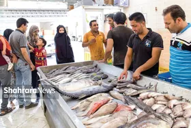 درخواست شهروندان شهرک شهیدبهشتی مشهد برای پیگیری و حل مشکلات فراوان