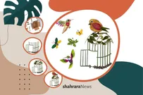آموزش کاردستی | آزادی پرنده‌ها