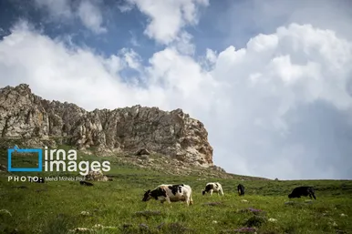 ایران زیباست | ییلاق در کوهستان