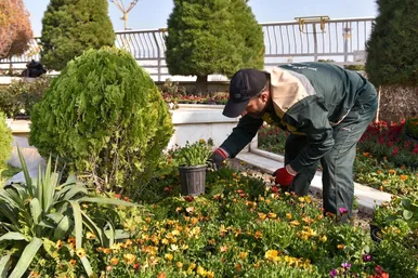 گل‌آرایی حرم مطهر رضوی در آستانه عید نوروز