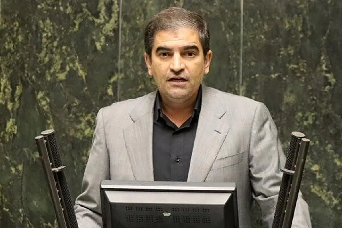 قاضی‌زاده‌‌ هاشمی: تخصیص ارز منجر به گرانی کالا‌ها خواهد شد