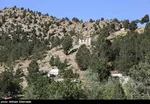 امدادرسانی هلال احمر ایران به مردم زلزله‌زده افغانستان
