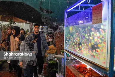 گزارش تصویری | حال‌وهوای بازار گل و گیاه مشهد در آستانه نوروز ۱۴۰۵