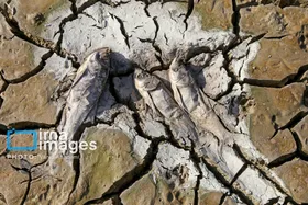گزارش تصویری | سد خاکی عبدل&zwnj;آباد بجنورد خشک شد