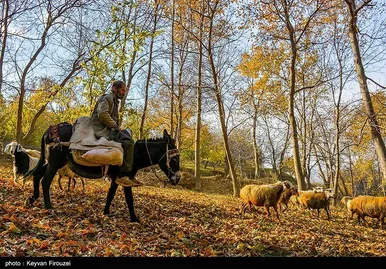 ایران زیباست | پاییز رنگارنگ کردستان