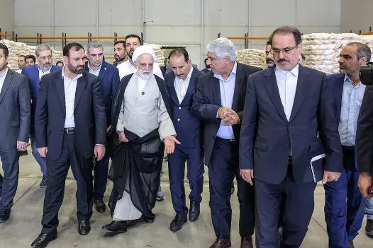 محسنی اژه ای