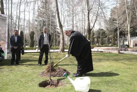 بهره&zwnj;برداری از ۱۲۹۰ هکتار جنگلکاری در اطراف تهران اقدام بسیار ارزشمندی است