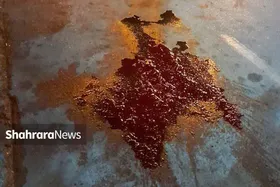 جنایت در دورهمی هم&zwnj;خدمتی&zwnj;ها | جوان بوکسور مشهدی کشته شد