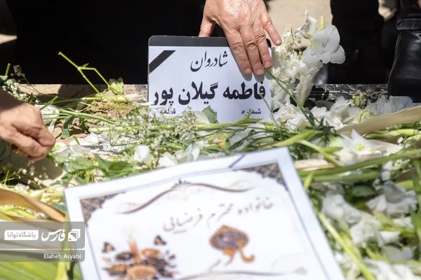 خاکسپاری مادر داریوش فرضیایی برگزار شد + تصاویر
