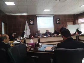 ایجاد ۸ کارگروه تخصصی زن و خانواده در مجمع بسیجیان استان خراسان رضوی&nbsp;