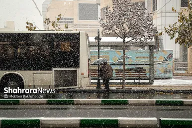 بارش اولین برف پاییزی در حرم مطهر رضوی