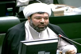 عضو فراکسیون روحانیت مجلس: سامان&zwnj;دهی اتباع باید عاقلانه و به&zwnj;دور از شتاب&zwnj;زدگی صورت گیرد