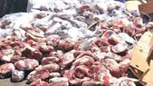 کشف و ضبط ۵۲۰ فراورده گوشتی طی یک ماه در خراسان رضوی
