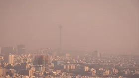 سلامت دانشجویان فدای مصلحت&zwnj;اندیشی&zwnj; نشود