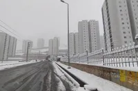 ویدئو| بارش نخستین برف پاییزی در دماوند