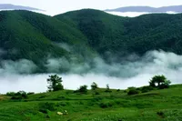 معاون سابق سازمان منابع طبیعی: مدیریت درختان شکسته و افتاده در جنگل‌های هیرکانی چالش‌برانگیز است