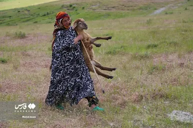 مادرانِ آبادی