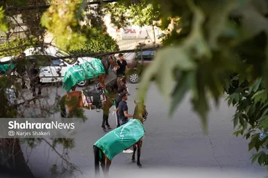 گزارش تصویری | آیین خیمه سوزان عصر عاشورا در بلوار هاشمیه مشهد (۴ تیر ۱۴۰۵)