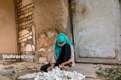 ابریشم کشی در بایگ