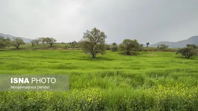ایران زیباست | زمستان بَهاری در فارس