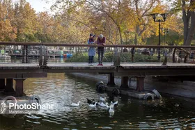 عرضه محصولات خانگی در بوستان&zwnj;های شهر مشهد تا پایان تابستان