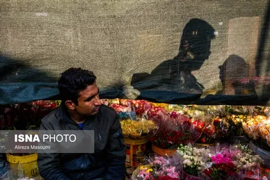 ایران زیباست | بازار گل محلاتی در روزهای پایانی ۱۴۰۳