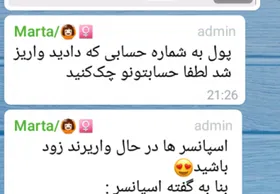 بازداشت مادر بزرگ سارق در مشهد